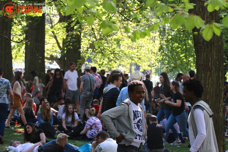 Bevrijdingspop Haarlem 2016 foto