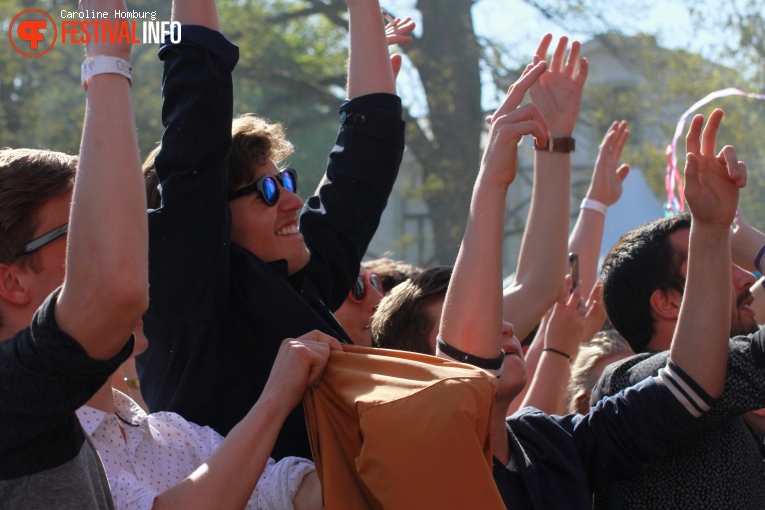 Bevrijdingspop Haarlem 2016 foto