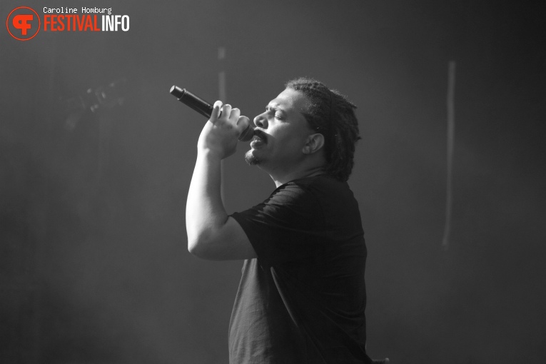 Foto Fresku op Bevrijdingspop Haarlem 2016