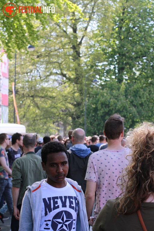 Bevrijdingspop Haarlem 2016 foto