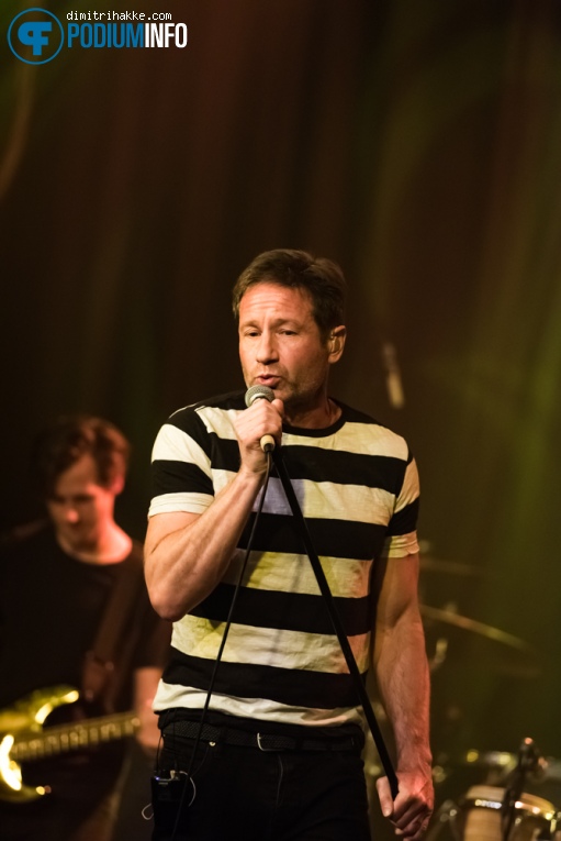 David Duchovny op David Duchovny - 09/05 - Melkweg foto