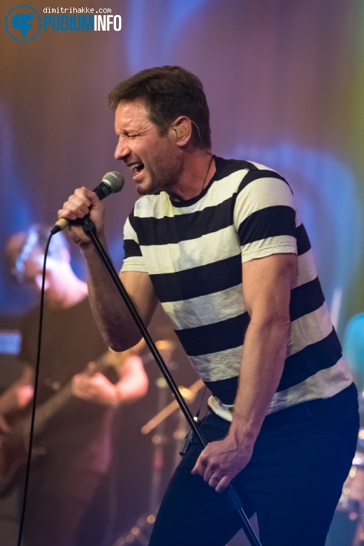 David Duchovny op David Duchovny - 09/05 - Melkweg foto