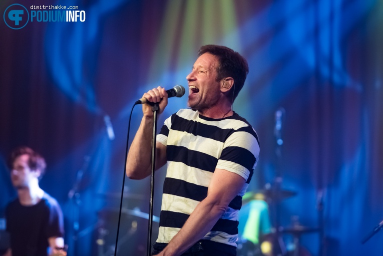 David Duchovny op David Duchovny - 09/05 - Melkweg foto