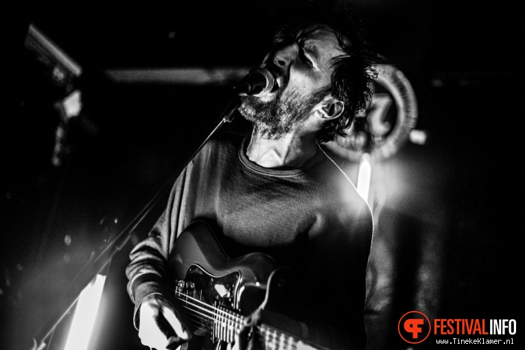 Hypochristmutreefuzz op Incubate Festival #1 2016 foto