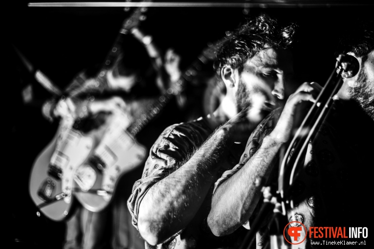 Hypochristmutreefuzz op Incubate Festival #1 2016 foto