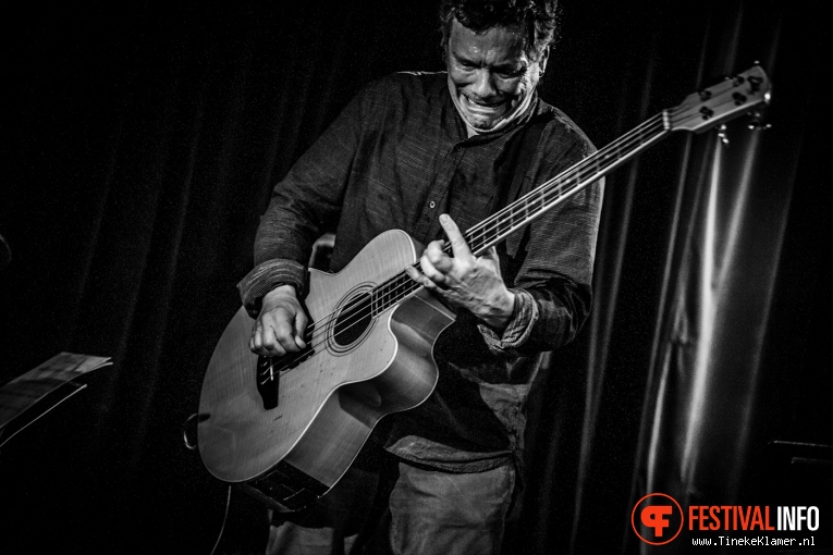 Naked Wolf op Incubate Festival #1 2016 foto
