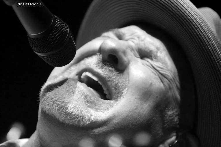 Paul Carrack op Paul Carrack - 25/05 - Metropool foto