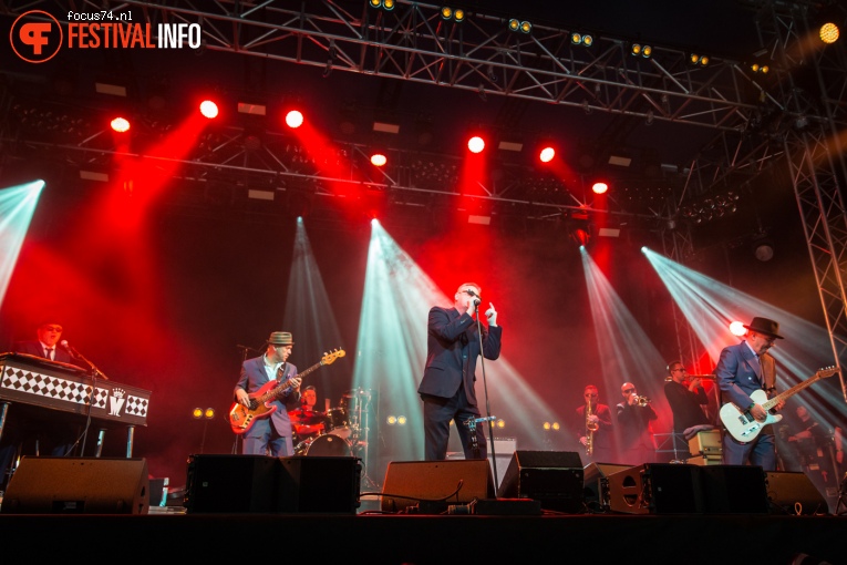 Madness op Dauwpop 2016 foto