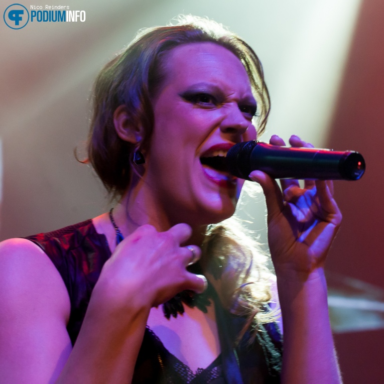 Alarion op Alarion - 3/6/16 - De Boerderij foto