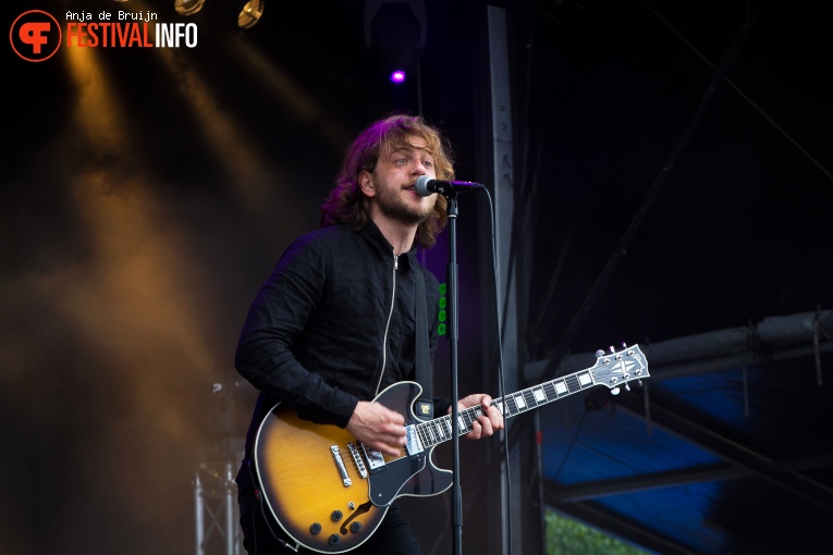 Reptilians op Vestrock 2016 foto