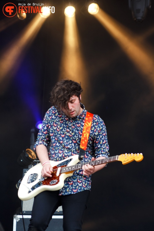 Foto The Academic op Vestrock 2016