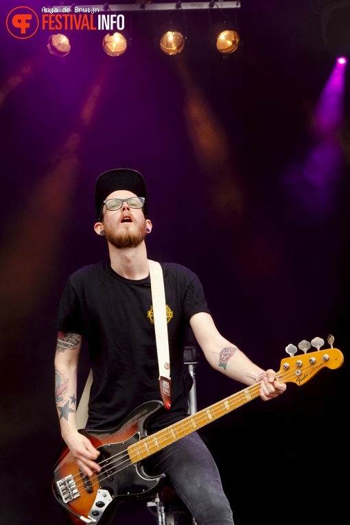 Reptilians op Vestrock 2016 foto