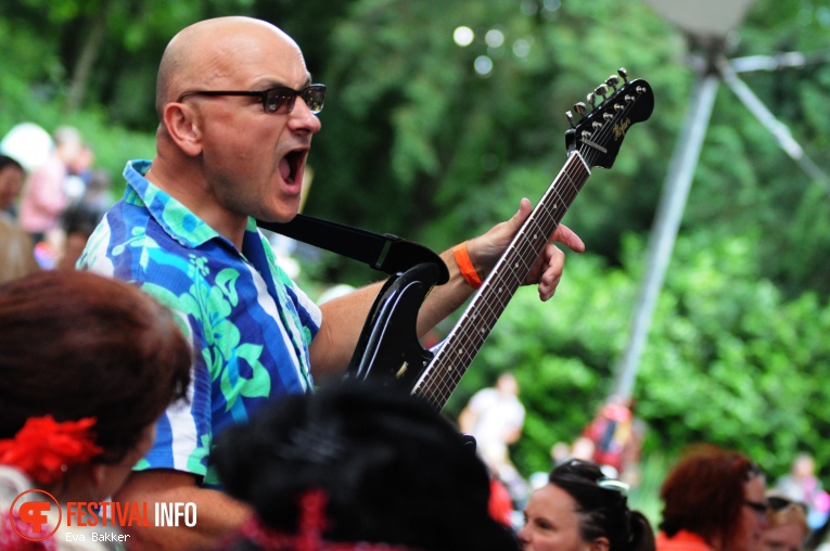 Sir Bald Diddley & His Ripcurls op Kids 'n Billies 2016 foto