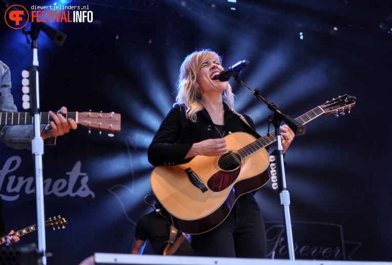 The Common Linnets op Share A Perfect Day 2016 foto