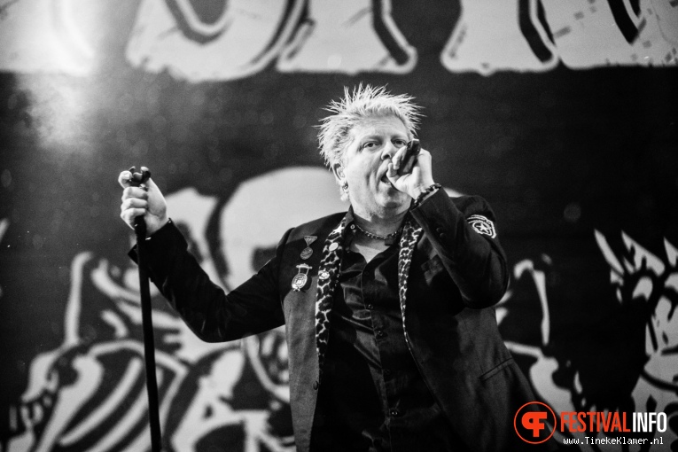 Foto The Offspring op Rock Werchter 2016 - Vrijdag