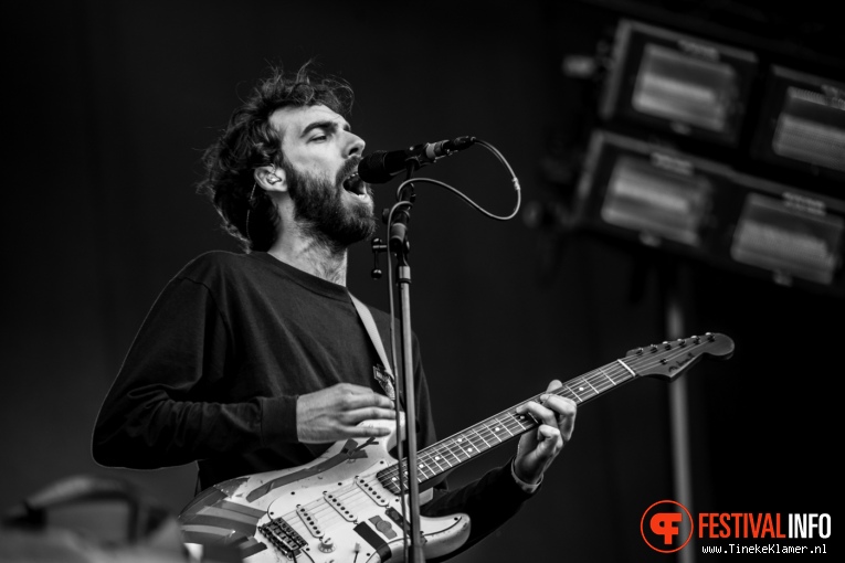 Black Box Revelation op Rock Werchter 2016 - Vrijdag foto