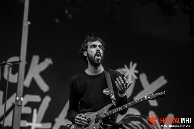 Black Box Revelation op Rock Werchter 2016 - Vrijdag foto