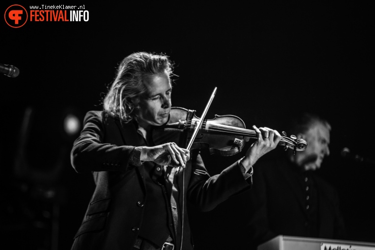 PJ Harvey op Rock Werchter 2016 - Zaterdag foto