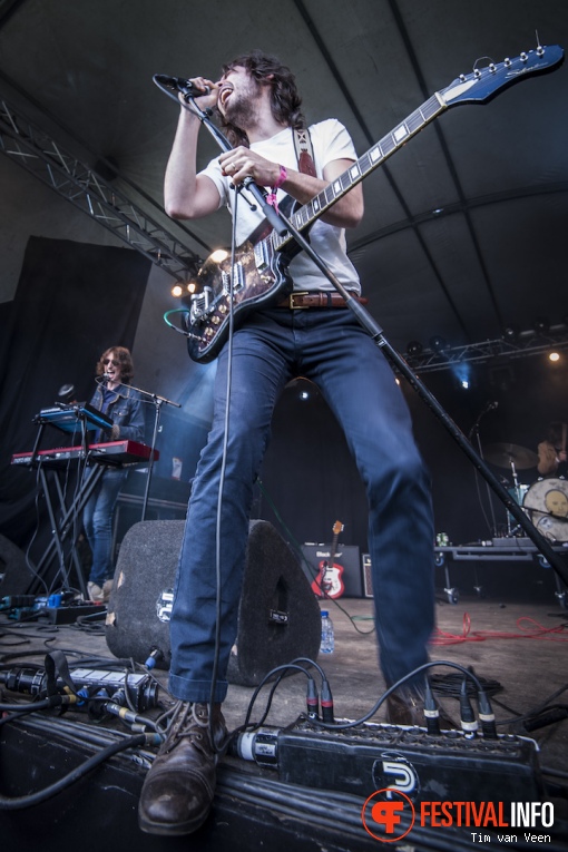 Hidden Charms op Festival de Beschaving 2016 foto