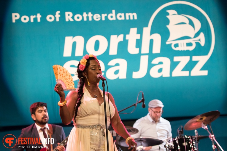 Malted Milk op North Sea Jazz 2016 - Zondag foto