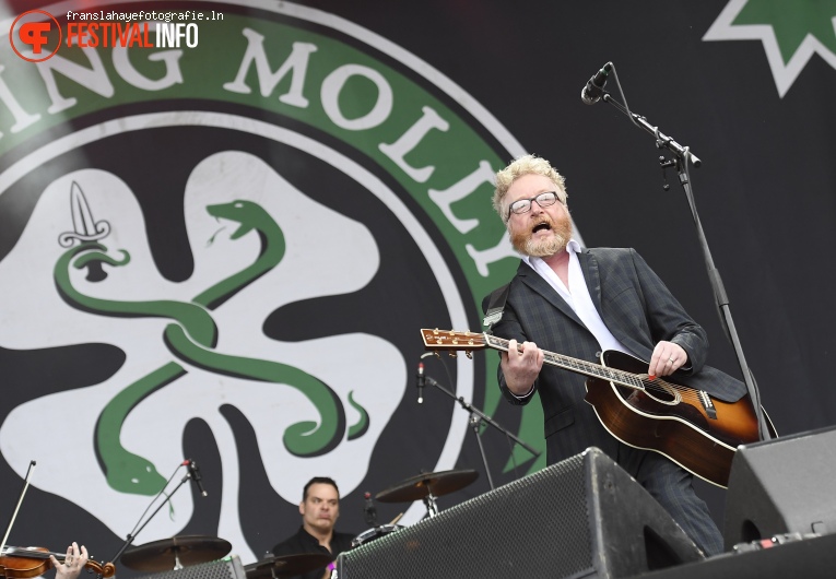 Flogging Molly op Bospop 2016 foto