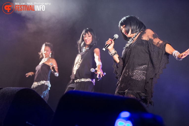 Sister Sledge op 40UP Zomerfestival 2016 foto