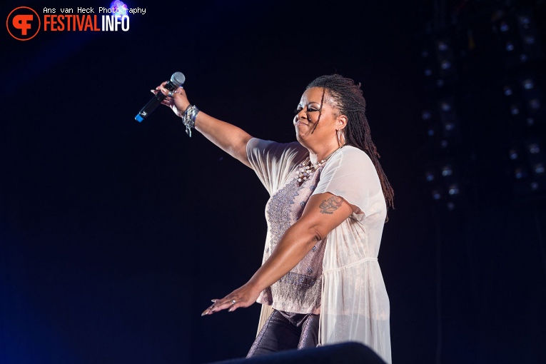Robin S. op 40UP Zomerfestival 2016 foto