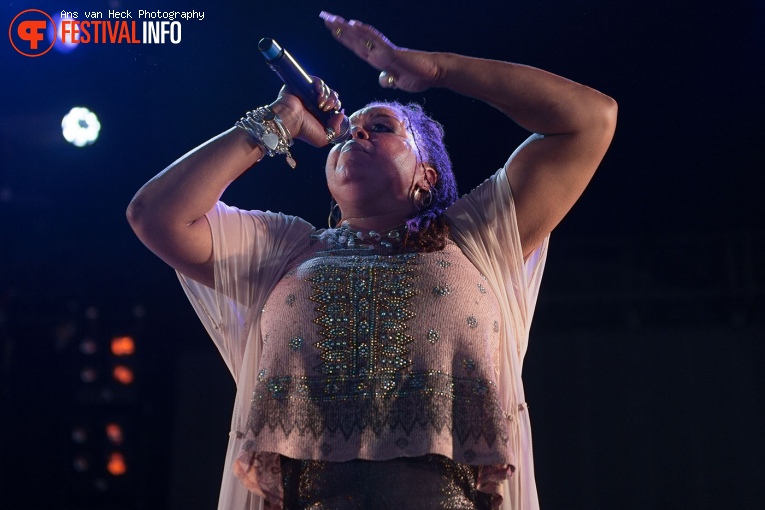Robin S. op 40UP Zomerfestival 2016 foto