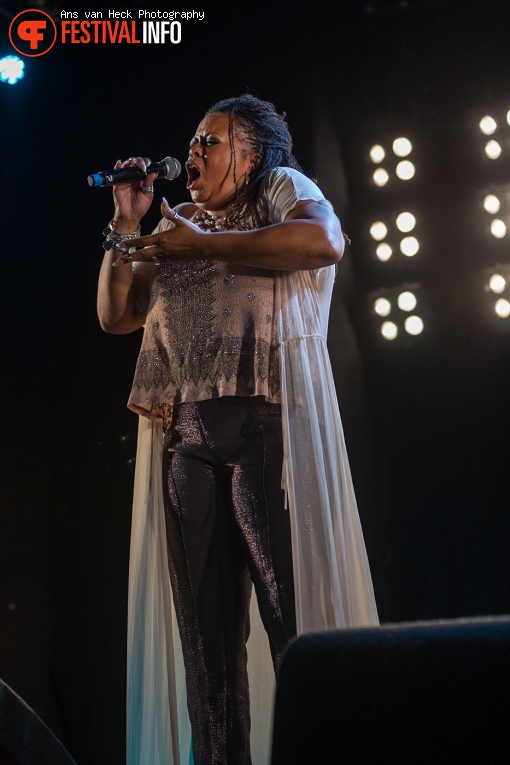 Robin S. op 40UP Zomerfestival 2016 foto
