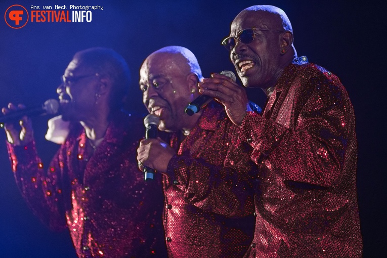 The Trammps op 40UP Zomerfestival 2016 foto