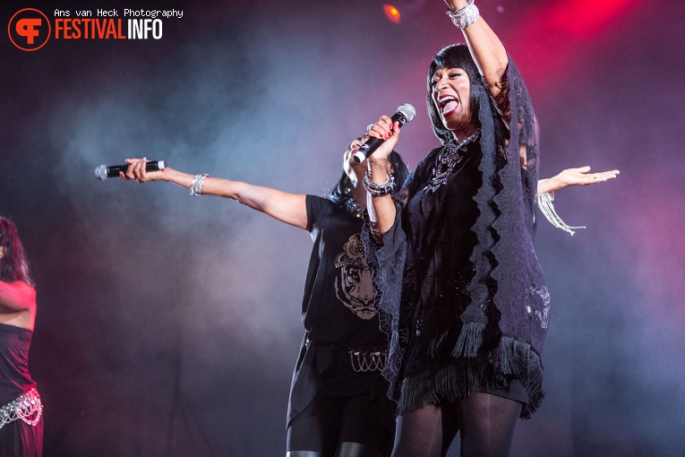 Sister Sledge op 40UP Zomerfestival 2016 foto