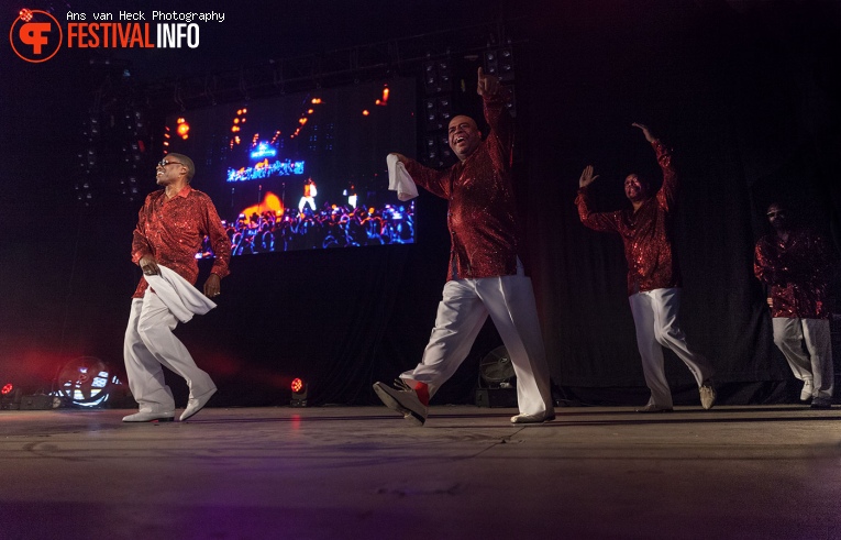 The Trammps op 40UP Zomerfestival 2016 foto