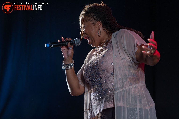 Robin S. op 40UP Zomerfestival 2016 foto