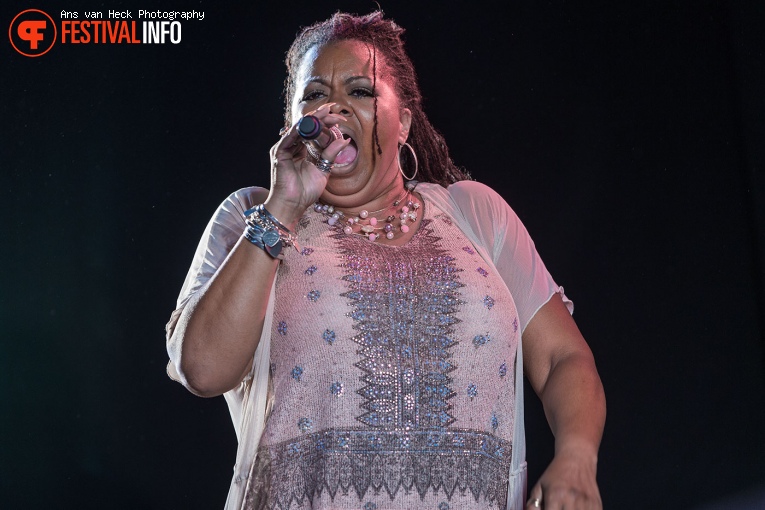 Robin S. op 40UP Zomerfestival 2016 foto