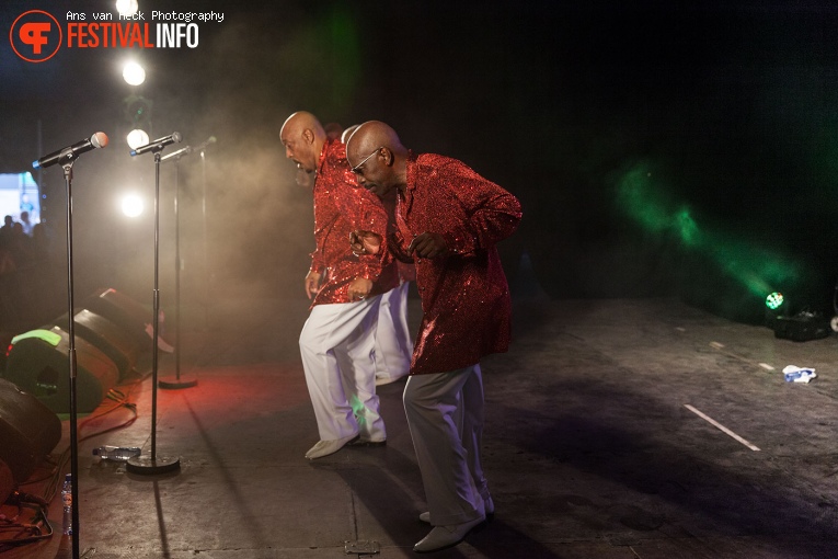 The Trammps op 40UP Zomerfestival 2016 foto