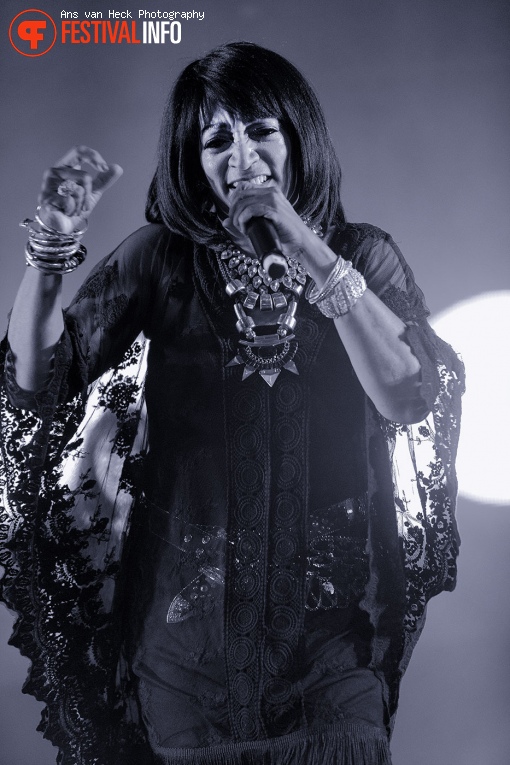 Foto Sister Sledge op 40UP Zomerfestival 2016