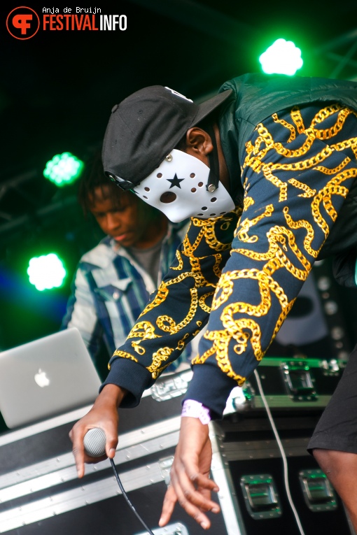 Gamekingz op Westerpop 2016 foto