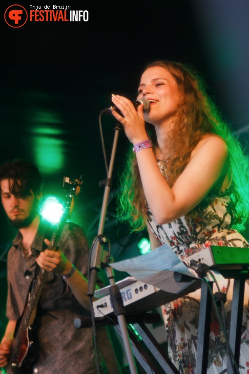 Przyborowski & Sekcja op Westerpop 2016 foto