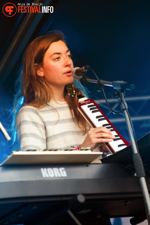 Foto Havington op Westerpop 2016