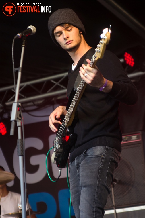 Stalls op Westerpop 2016 foto