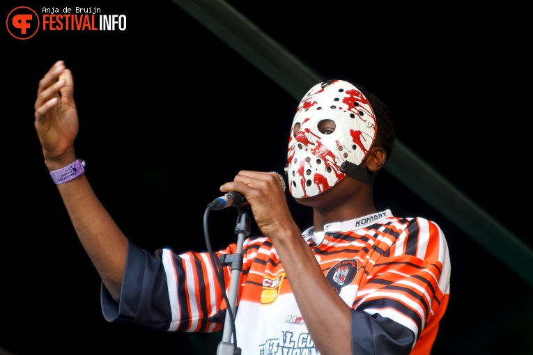 Gamekingz op Westerpop 2016 foto
