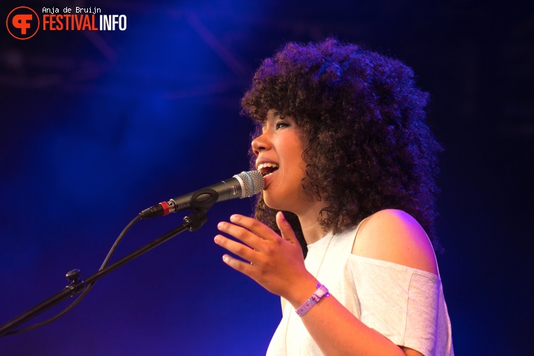 AAPNOOTMIES op Westerpop 2016 foto