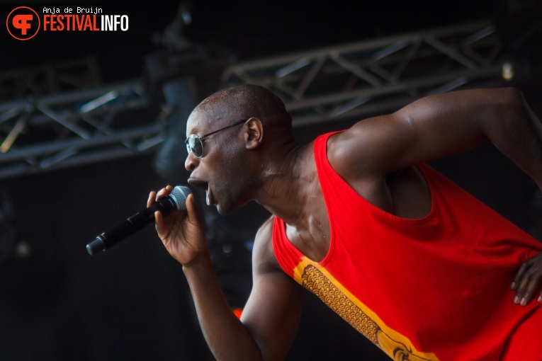 Smokey Joe & The Kid op Westerpop 2016 foto