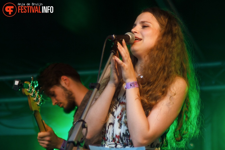 Foto Przyborowski & Sekcja op Westerpop 2016