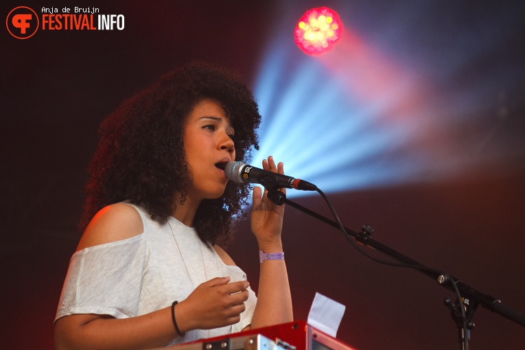 AAPNOOTMIES op Westerpop 2016 foto