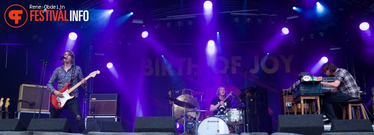 Birth of Joy op Fields of Joy Festival 2016 foto