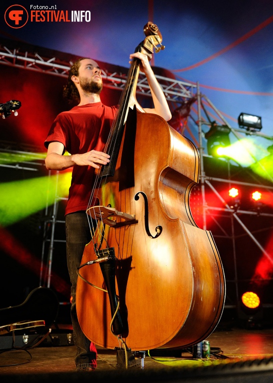 The Hackensaw Boys op Welcome To The Village 2016 - Vrijdag foto