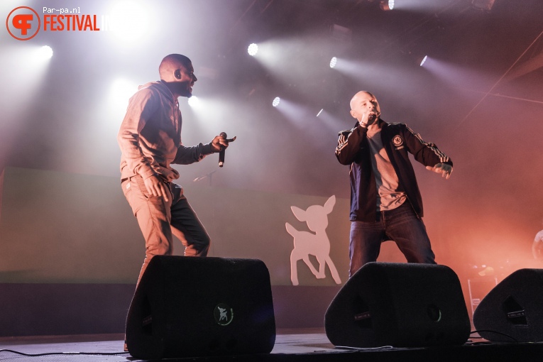 Rico & Sticks op Werfpop 2016 foto