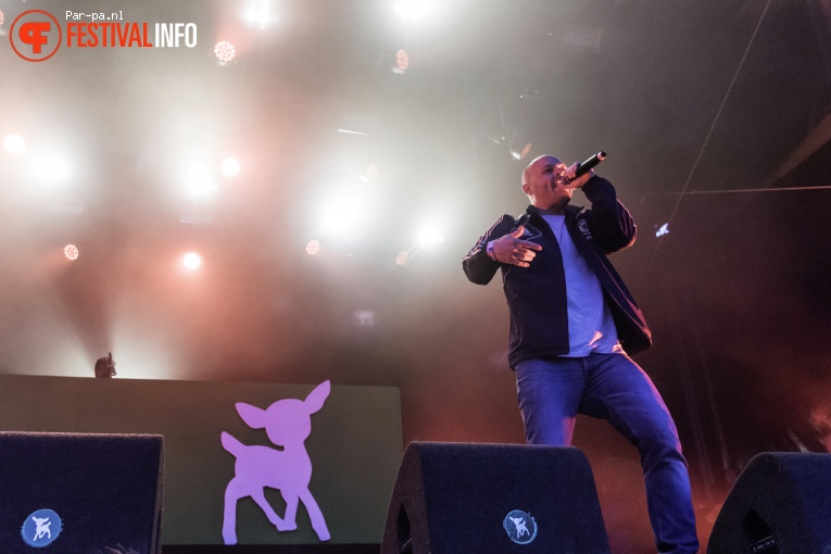 Rico & Sticks op Werfpop 2016 foto