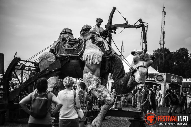Zwarte Cross 2016 - sfeerverslag foto